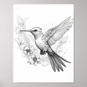 Hummingbird Adult Colouring Poster
