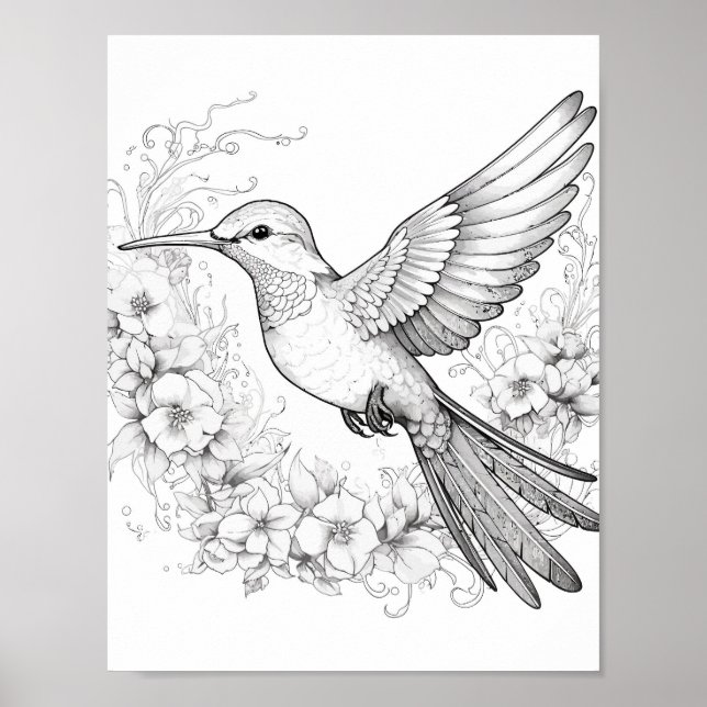 Hummingbird Adult Colouring Poster (Front)