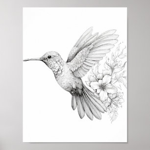 Hummingbird Adult Colouring Poster