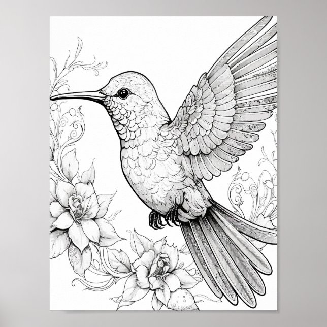 Hummingbird Adult Colouring Poster (Front)