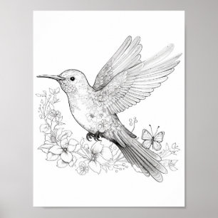 Hummingbird Adult Colouring Poster