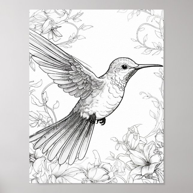 Hummingbird Adult Colouring Poster (Front)
