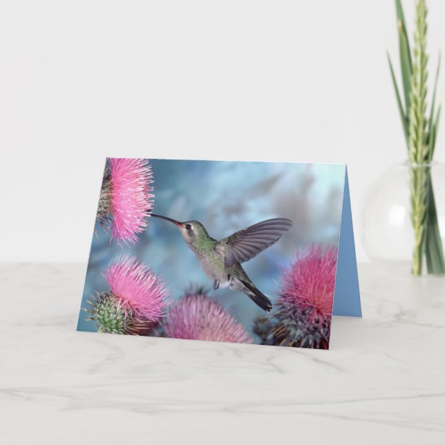 Hummingbird All Occasion Card (Front)