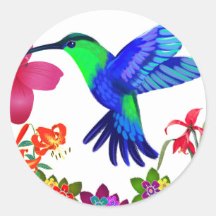 Hummingbird Amidst Nature’s Beauty,Serenade Wings  Classic Round Sticker