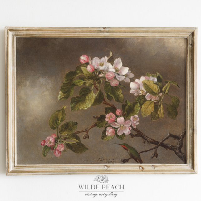 Hummingbird and Apple Blossom Vintage Painting Poster (Creator Uploaded)