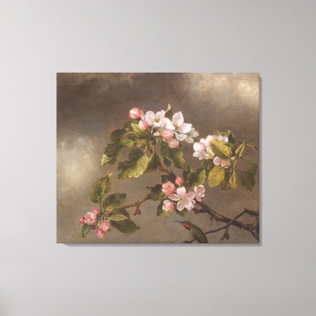 Hummingbird and Apple Blossoms Canvas Print (Front)