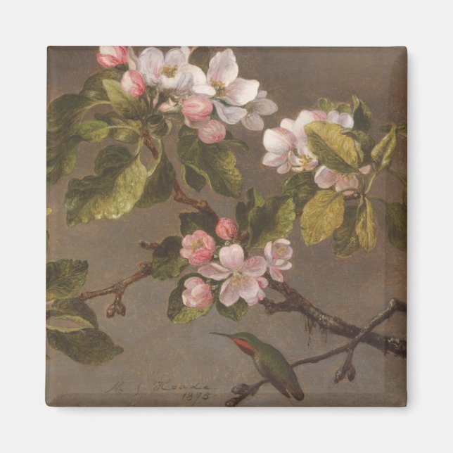 Hummingbird and Apple Blossoms Magnet (Front)