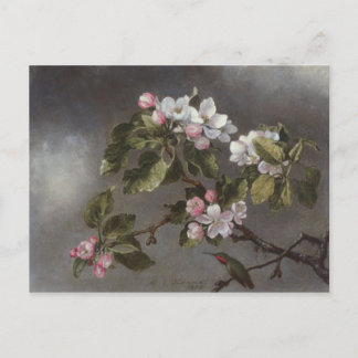 Hummingbird and Apple Blossoms Martin J. Heade Postcard