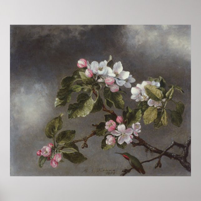 Hummingbird and Apple Blossoms Martin J. Heade Poster (Front)