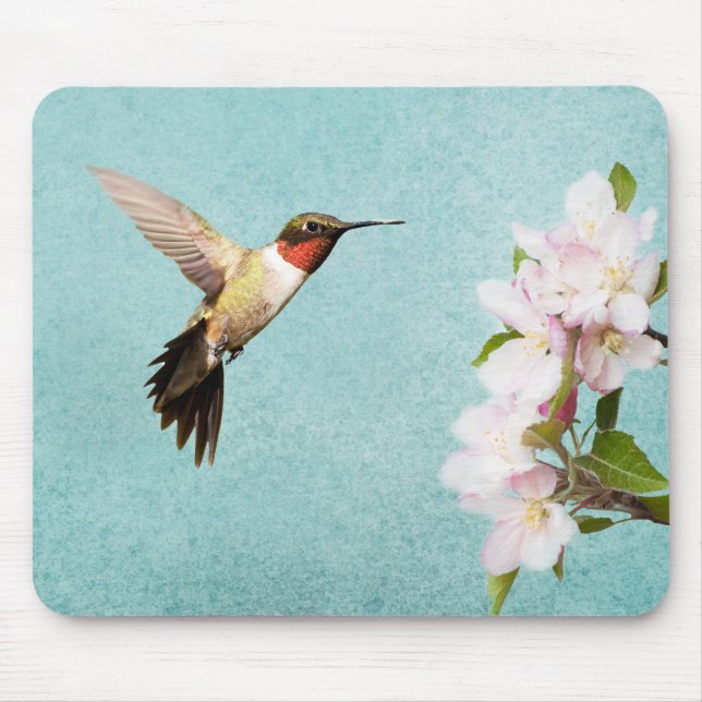 Hummingbird and Apple blossoms Mouse Mat (Front)