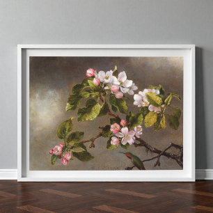 Hummingbird and Apple Blossoms Poster