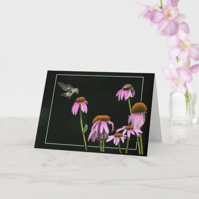 Hummingbird And Bee Share Coneflower Card (Orchid)