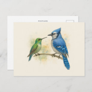 Hummingbird and Blue Jay Nature Postcard