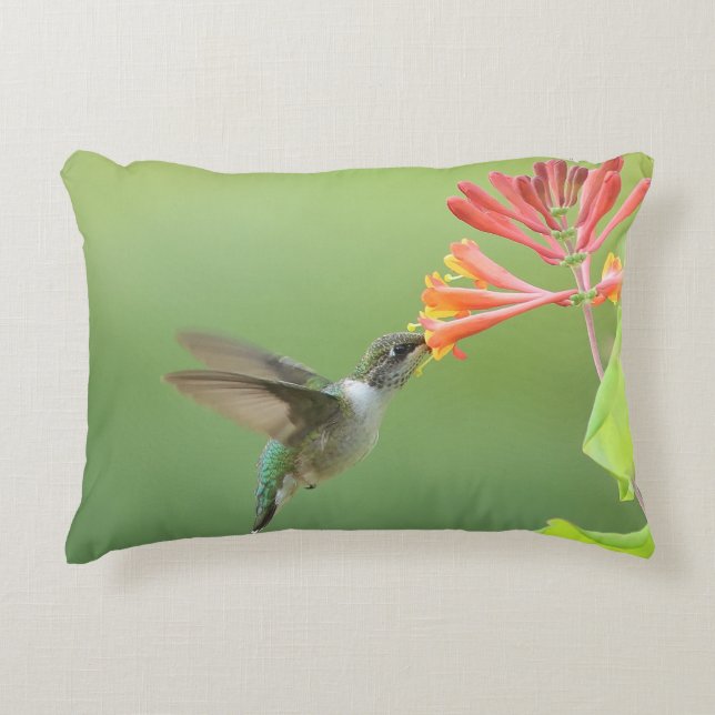 Hummingbird and Coral Honeysuckle Throw Pillow (Front)
