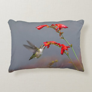 Hummingbird And Crocosmia Decorative Cushion