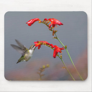 Hummingbird And Crocosmia Mouse Mat