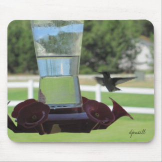 Hummingbird and Feeder Mouse Mat