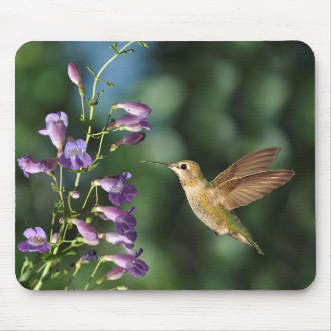 Hummingbird and Flower Mouse Mat (Front)
