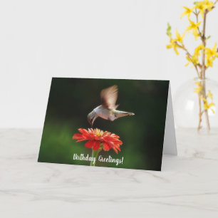 Hummingbird and Flower Nature Birthday Card
