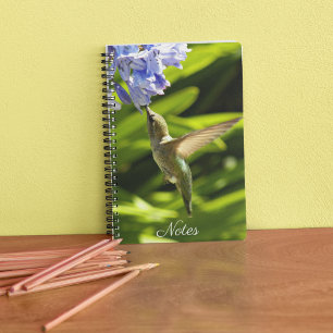 Hummingbird and Flower Nature Photo Notebook