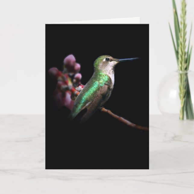 Hummingbird and Flower Thinking about You Card (Front)