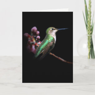 Hummingbird and Flower Thinking about You Card