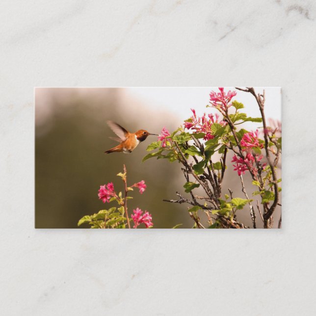 Hummingbird and Flowers Business Card (Front)