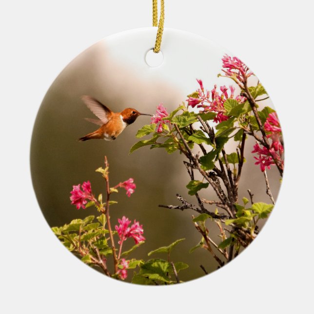 Hummingbird and Flowers Ceramic Tree Decoration (Front)