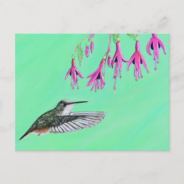 Hummingbird and Fuchsia Painting Postcard (Front)