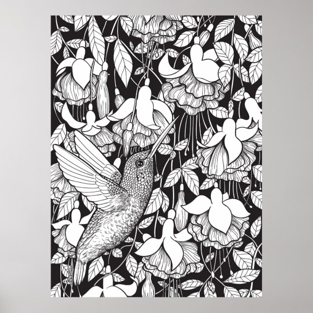 Hummingbird and fuchsia poster (Front)