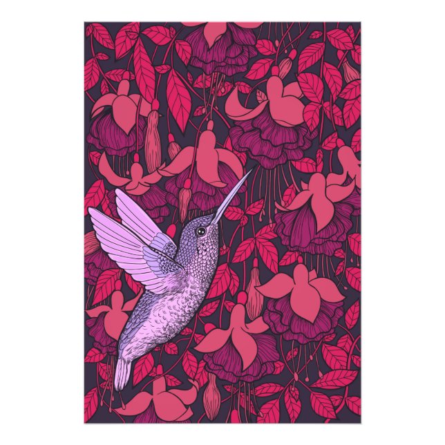 Hummingbird and fuchsia violet photo print (Front)
