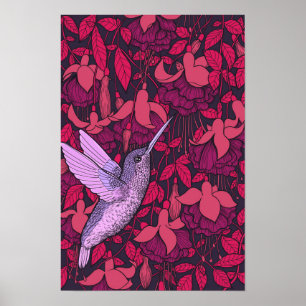 Hummingbird and fuchsia violet poster