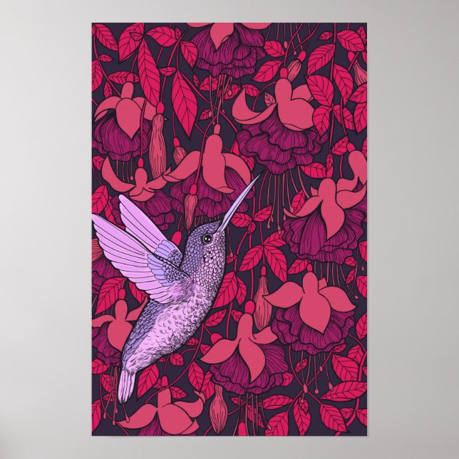 Hummingbird and fuchsia violet poster (Front)