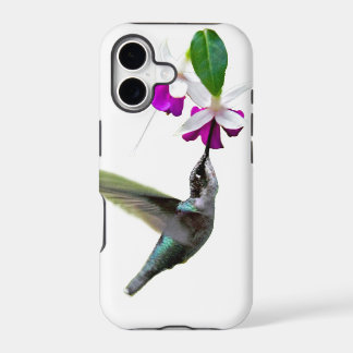 Hummingbird and Fuschia