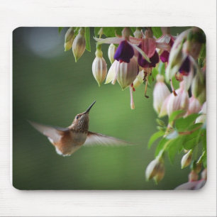 Hummingbird And Fushia Flower Plant Mousepad