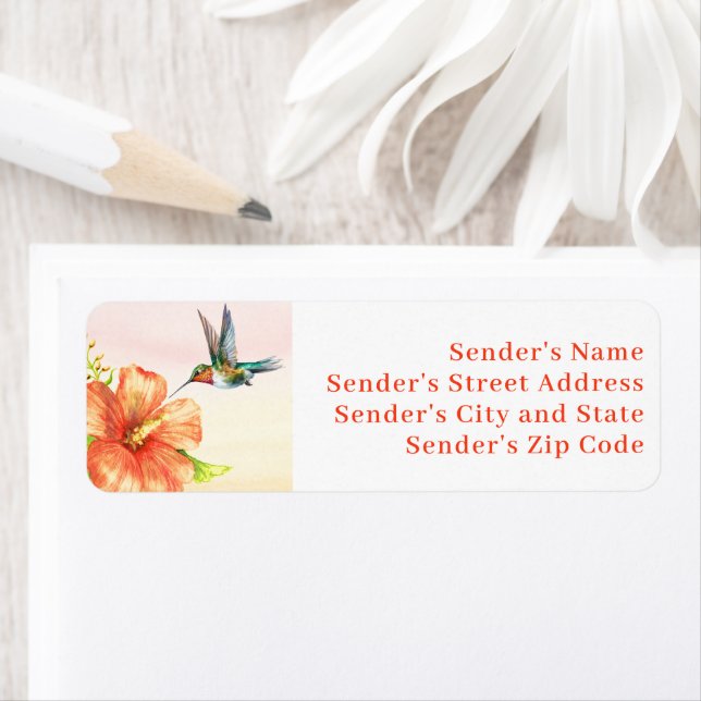 Hummingbird and Hibiscus Flower  (Insitu)