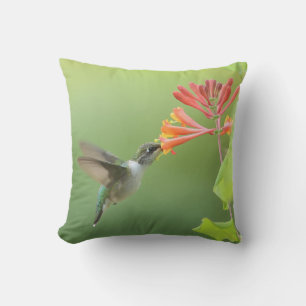 Hummingbird and Honeysuckle Throw Pillow