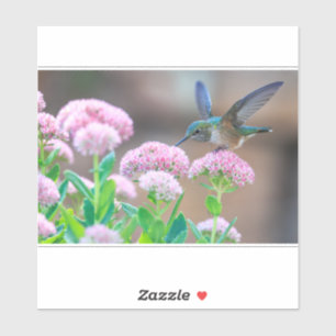 Hummingbird And Nectar