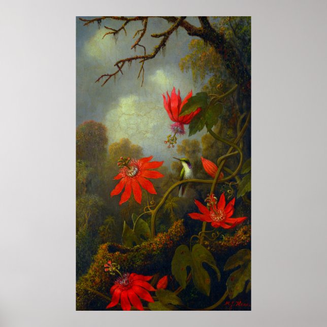 Hummingbird and Passionflowers (1875) Poster (Front)