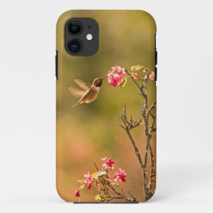 Hummingbird and Pink Flowers iPhone 11 Case