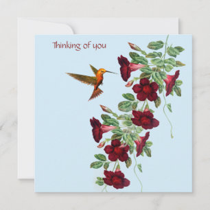 Hummingbird and Red Flowers Card