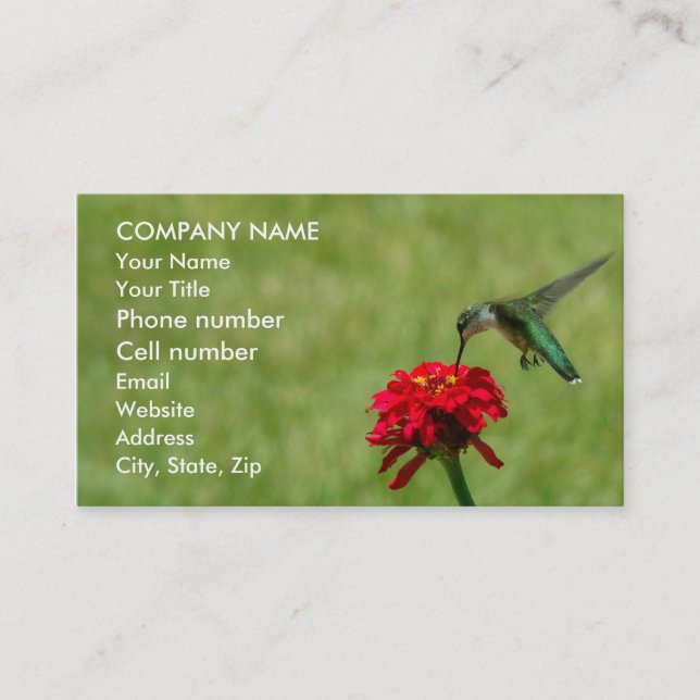 Hummingbird and Red Zinnia Business Card (Front)