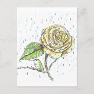 Hummingbird and Rose in the Rain Drawing Postcard
