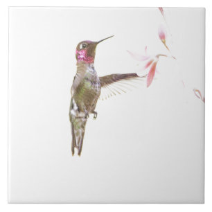 Hummingbird and single Flower Tile