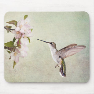 Hummingbird and spring flowers mouse mat