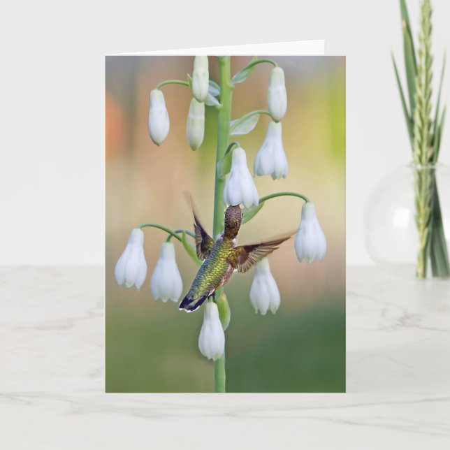 Hummingbird And Summer Hyacinth Card (Front)