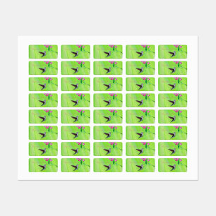 Hummingbird and Sweet Peas Painting