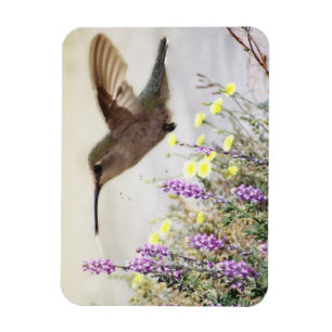 Hummingbird and Wildflowers Digital Art Magnet