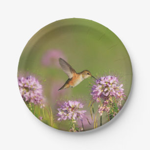 Hummingbird and Wildflowers Paper Plate