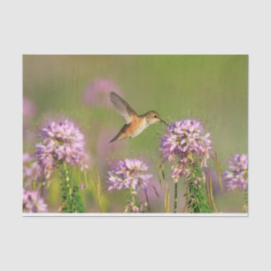 Hummingbird and Wildflowers Tissue Paper
